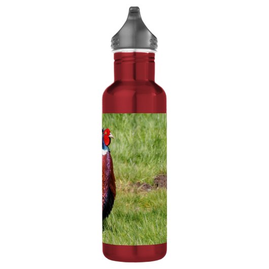 Profiel van een Ring-Necked Fheasant Waterfles (Rechts)