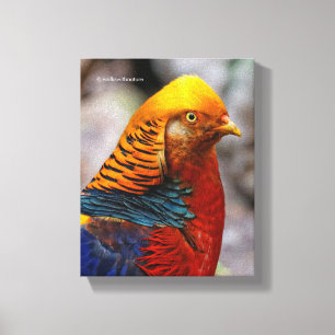 Profiel van een rode gulden fazant canvas afdruk