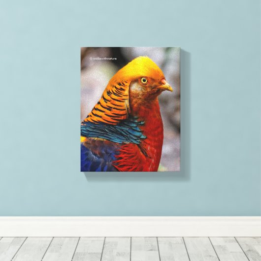 Profiel van een rode gulden fazant canvas afdruk (Insitu (Houten vloer))