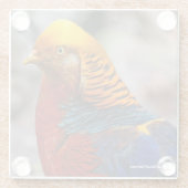 Profiel van een rode gulden fazant glazen onderzetter (Achterkant)