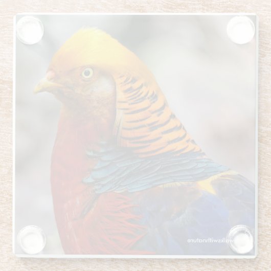 Profiel van een rode gulden fazant glazen onderzetter (Achterkant)