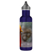 Profiel van een rode gulden fazant waterfles  (Rechts)