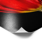 Profiel van een Rode Tulp Foto Afdruk (Hoek)