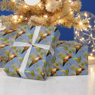 Profiel van een roofvogel cadeaupapier