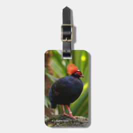 Profiel van een Roul-Roul Crested Wood Partridge Bagagelabel