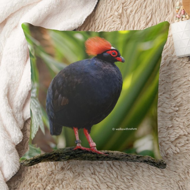 Profiel van een Roul-Roul Crested Wood Partridge Kussen (Deken)