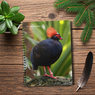 Profiel van een Roul-Roul Crested Wood Partridge Notitieboek