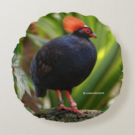 Profiel van een Roul-Roul Crested Wood Partridge Rond Kussen