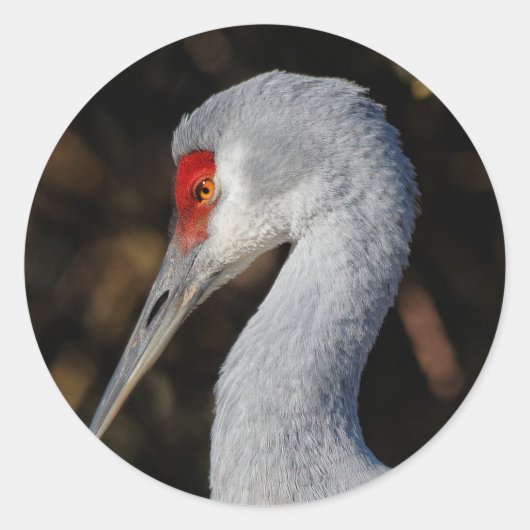 Profiel van een Sandhill Crane Ronde Sticker (Voorkant)
