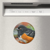 Profiel van een Spotted Towee Magneet (Insitu (Vaatwasser))