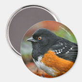 Profiel van een Spotted Towee Magneet (Voorkant / Achterkant)