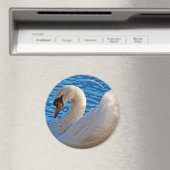 Profiel van een Stomme Swan Magneet (Insitu (Vaatwasser))