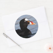 Profiel van een Surf Scoter Drake Ronde Sticker (Envelop)