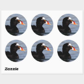 Profiel van een Surf Scoter Drake Ronde Sticker (Vel)