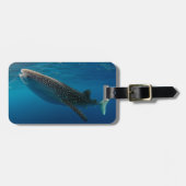 Profiel van een walvishaai, Indonesië Bagagelabel (Voorkant horizontaal)