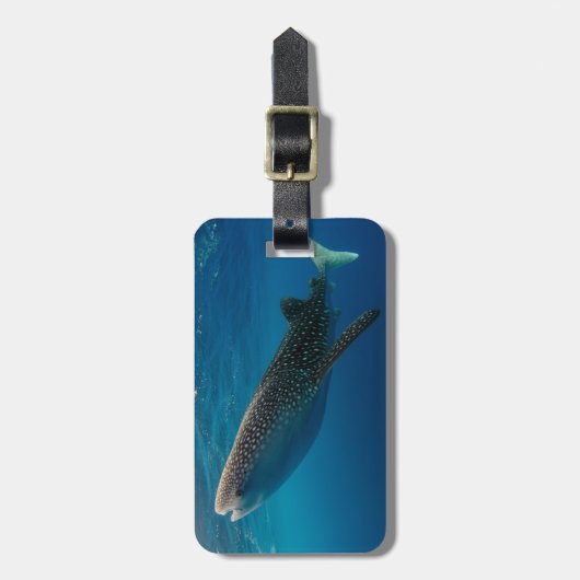 Profiel van een walvishaai, Indonesië Bagagelabel (Voorkant verticaal)