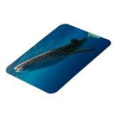 Profiel van een walvishaai, Indonesië Magneet (Linkerzijde)