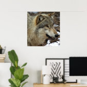 Profiel van een Wolf Poster (Thuiskantoor)