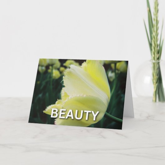 Profiel van een Yellow Flower - Beauty Kaart (Voorkant)