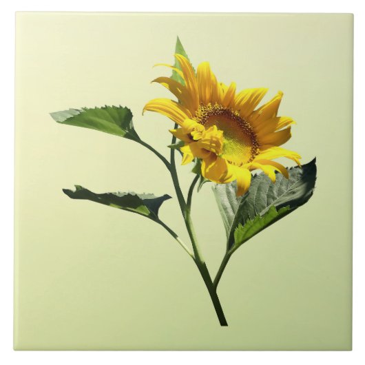 Profiel van een zonnebloempel tegeltje (Voorkant)