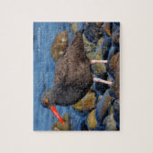 Profiel van een zwarte Oystercatcher Legpuzzel (Verticaal)