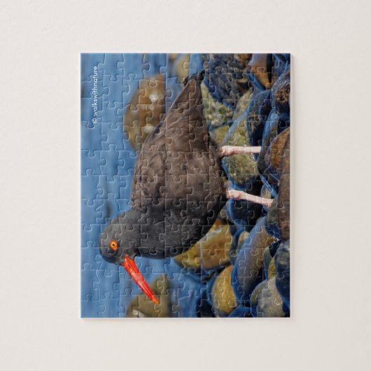 Profiel van een zwarte Oystercatcher Legpuzzel (Verticaal)
