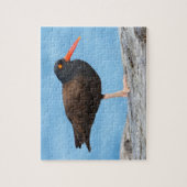 Profiel van een zwarte Oystercatcher Legpuzzel (Verticaal)