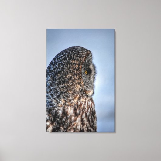 Profiel van Great Grey Owl Wildlife Fotoportret Canvas Afdruk (Voorkant)