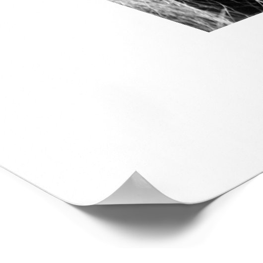 Profiel van leeuw poster (Hoek)