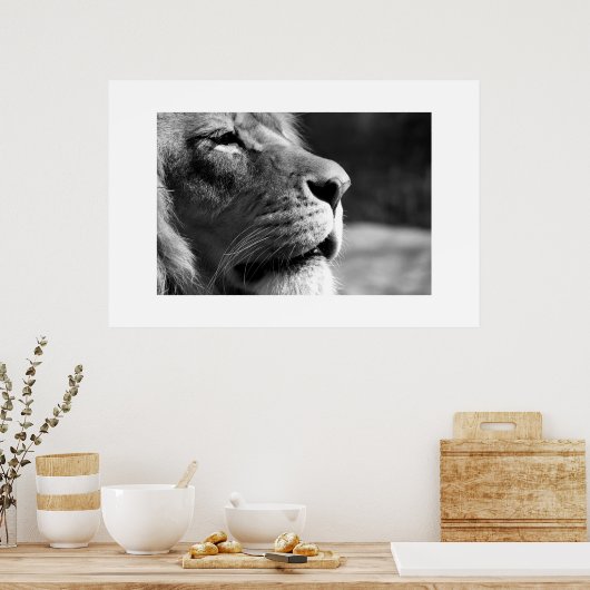 Profiel van leeuw poster (Keuken)