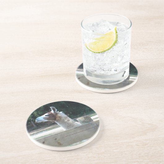 Profiel van Llama Zandsteen Onderzetter (Zijkant)