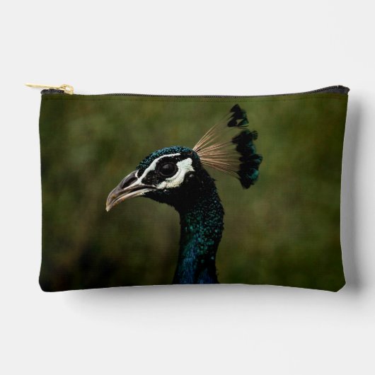 Profiel van pauw  etui (Voorkant)