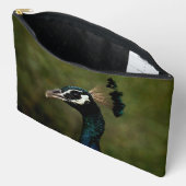 Profiel van pauw  etui (Open)