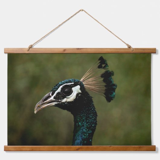 Profiel van pauw hangend wandkleed (Voorkant)