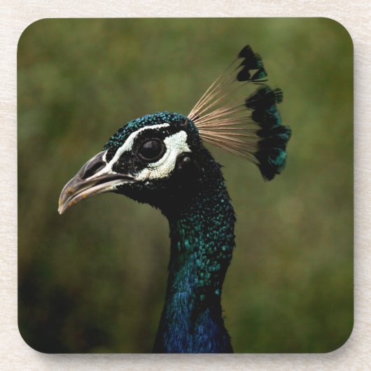Profiel van Peacock Bier Onderzetter (Voorkant)
