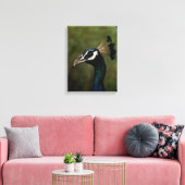 Profiel van Peacock Canvas Afdruk (Insitu (Woonkamer))