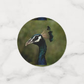 Profiel van Peacock Confetti (Kleine voorkant)