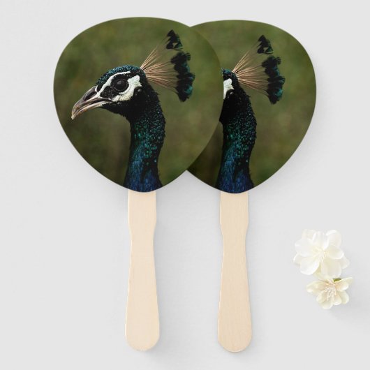Profiel van Peacock Handwaaier (Voorkant en achterkant)