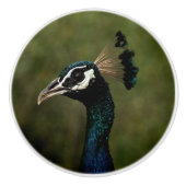 Profiel van Peacock Keramische Knop (Voorkant)