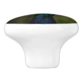Profiel van Peacock Keramische Knop (Zijkant)