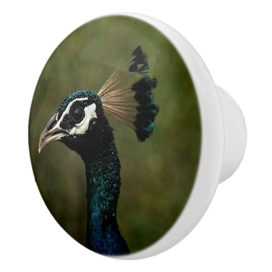 Profiel van Peacock Keramische Knop (Rechts)