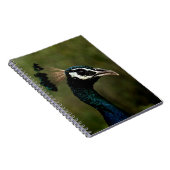 Profiel van Peacock Notitieboek (Rechterzijde)
