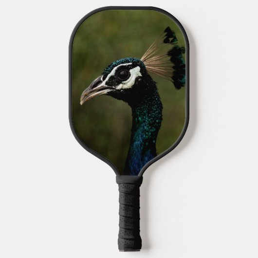 Profiel van Peacock Pickleball Paddle (Voorkant)