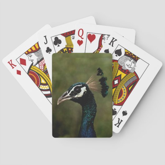 Profiel van Peacock Pokerkaarten (Achterkant)