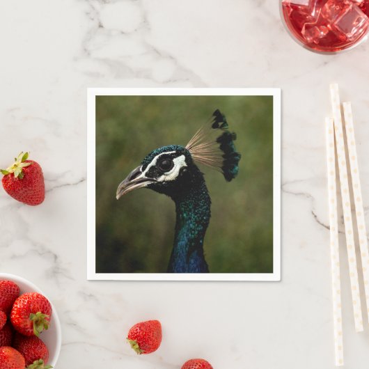 Profiel van Peacock Servet (Insitu)