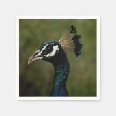 Profiel van Peacock Servet (Voorkant)