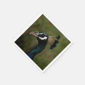 Profiel van Peacock Servet (Hoek)