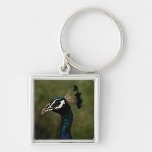 Profiel van Peacock Sleutelhanger