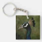 Profiel van Peacock Sleutelhanger (Voorkant)