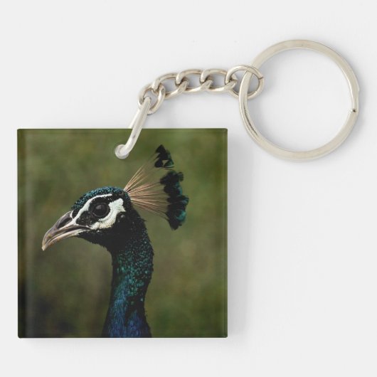 Profiel van Peacock Sleutelhanger (Achterkant)